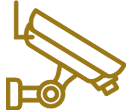 securityicon1